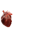 3 pixel anatomical hearts